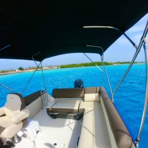 a blue and white boat in the water
