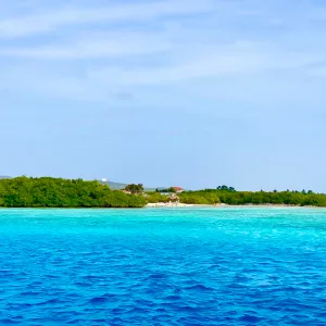 a blue and swimming in a body of water